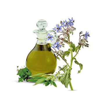 Aceite de borraja
