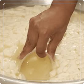 Aislado de Proteína de Suero de Leche