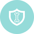 Protección ósea y vitalidad