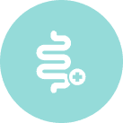 Microbiota saludable y digestión ligera